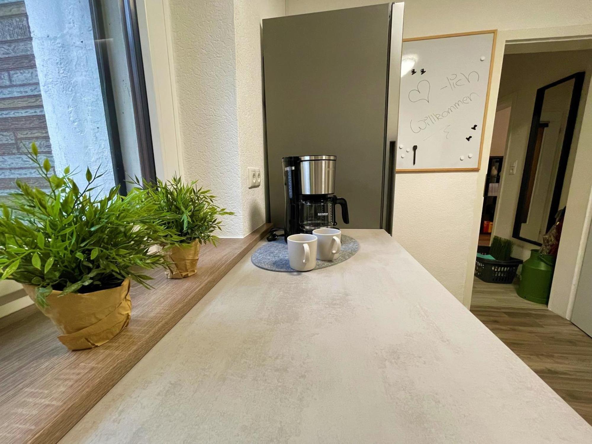 באד אמס Ferienwohnung Kutscher מראה חיצוני תמונה